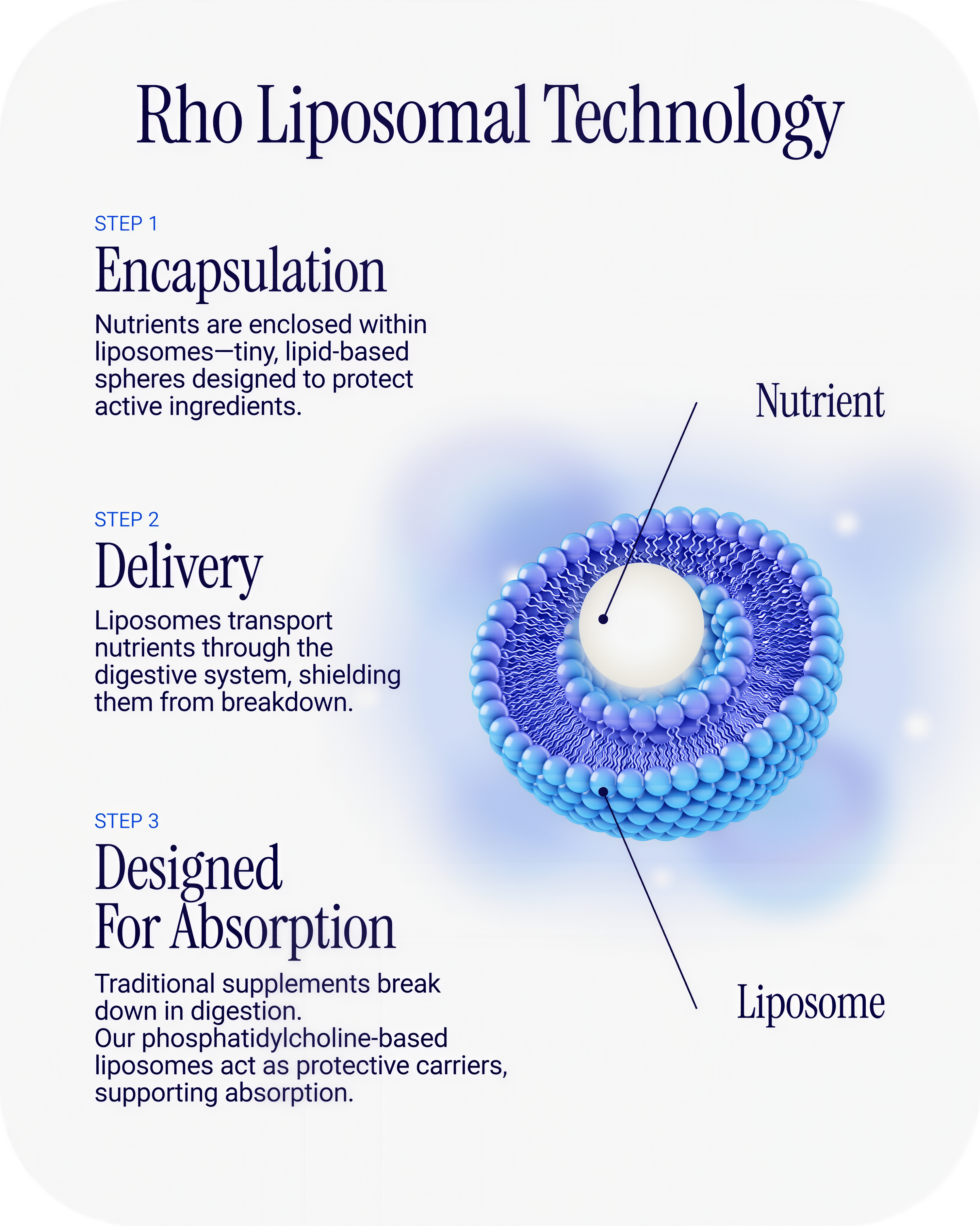 Rho Nutrition Liposomal NAD+